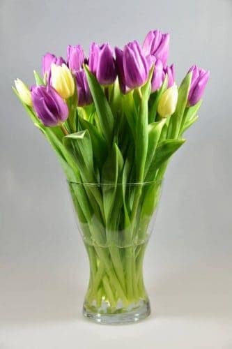 Fresh Flower Care in Accrington Lancashire