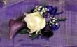 Designer Buttonhole with Cream Rose and Purple Cala Lilly in Accrington Lancashire