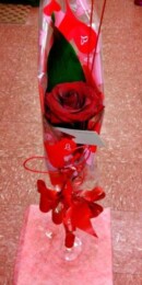 Single Red Rose in a Glass Vase in Accrington Lancashire