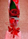 Single Red Rose in a Glass Vase in Accrington Lancashire