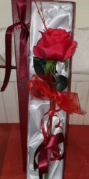 Red Rose in a Deluxe Box in Accrington Lancashire