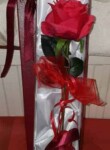 Red Rose in a Deluxe Box in Accrington Lancashire