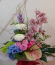 Boxed Aqua Arrangement with Orchids and Anthurium in Accrington Lancashire